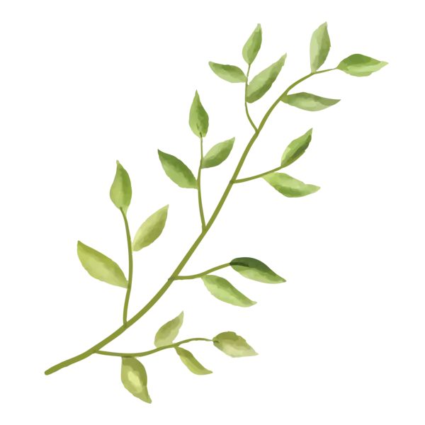 themed leaf shape